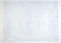 Charl van Ark, 'Berliner Lichter 10 mei 1933' en 'Berliner Lichter 3 april 2012',

1.35 x 1.90 m.
PHŒBUS•Rotterdam