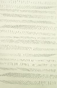 Kostana Banovic, z.t. 2005, geperforeerd en betekend papier, 48 x 32 cm
PHŒBUS•Rotterdam