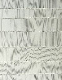 Kostana Banovic, z.t. 2007, detail van met potlood betekend, geperforeerd papier,

(uit zesdelige serie, met verschillende rijen perforaties en potloodstrepen)

40 x 33.5 cm.
PHŒBUS•Rotterdam