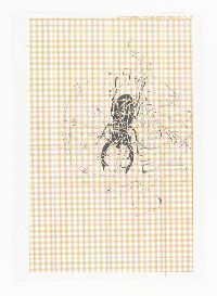 /images/benson/fBenson10-Verw-mm27-110110-1100-th.jpg Simon Benson, uit de reeks ''Die Verwandlung'', 1988-2010, tekeningen potlood / papier, A4 / +A4.
PHŒBUS•Rotterdam