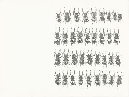 /images/benson/fBenson10-Verwmm-m36kvrs-33-110110-1100-th.jpg Simon Benson, uit de reeks ''Die Verwandlung'', 1988-2010, tekeningen potlood / papier, A4 / +A4.
PHŒBUS•Rotterdam
