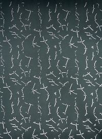 Bernadette Beunk, gezeefdrukte behangpapier, 0.70 x 0.50 m. (zwart b)
PHŒBUS•Rotterdam