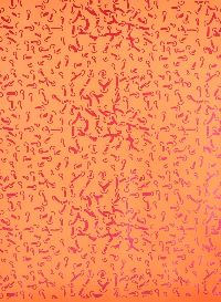 Bernadette Beunk, gezeefdrukte behangpapier, 0.70 x 0.50 m. (oranje c)
PHŒBUS•Rotterdam