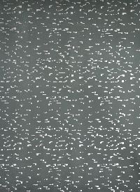Bernadette Beunk, gezeefdrukte behangpapier, 0.70 x 0.50 m. (zwart e)
PHŒBUS•Rotterdam