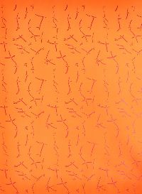 Bernadette Beunk, gezeefdrukte behangpapier, 0.70 x 0.50 m. (oranje t)
PHŒBUS•Rotterdam