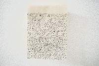 Toon van Borm, 02  'the seasons', inkt op japans papier, 2016, 29 x 41cm
PHŒBUS•Rotterdam