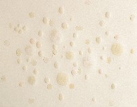 Célio Braga, Untitled [Blur], 02, oil stains and bebossing on paper, 32 x 42 cm
PHŒBUS•Rotterdam
