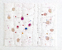 Célio Braga, 2018, kleur, pigmenten, perforaties, insnijdingen in papier, ca. 21 x 35 cm
PHŒBUS•Rotterdam