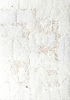 Célio Braga, z.t. 2017, kleurpotlood, aquarel, perforaties, textiel en reliëf op papier,

ca. 60 x 40 cm.
PHŒBUS•Rotterdam