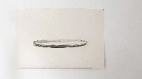 Mark Cloet, tekening 2021-22, 103 cm x 154 cm., op Arches Formaat : Aigle Zwaar
PHŒBUS•Rotterdam