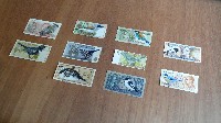 Hanna von Goeler, tijdens de Amsterdam Drawing 2016 zijn aquarel/gouaches op (ongeldige) bankbiljetten getoond.
PHŒBUS•Rotterdam