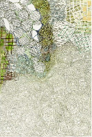 Yvonne van de Griendt, Mimicry, 2011, grijze en kleurpotloden op papier,

45 x 30 cm. op 65 x 50 cm.
PHŒBUS•Rotterdam
