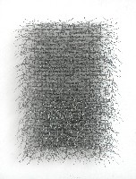 Hans Houwing, 2018, 47 x 34 x 7 cm., kippengaas en volière-gaas
PHŒBUS•Rotterdam