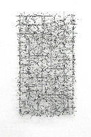 Hans Houwing, 2020, 9-5-20, volièregaas op volièregaas, 30 x 17 x 4 cm.
PHŒBUS•Rotterdam