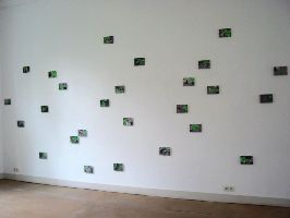 Toshiya Kobayashi, wand met '30 Leaves', 2005, acryl op foto 13 x 18 cm.
PHŒBUS•Rotterdam