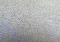 Sarah van der Lijn: 'Gelijke enkelen blauw', 03.2015, potlood op glasvliespapier,

114 x 74 cm.; detail
PHŒBUS•Rotterdam