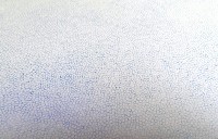 Sarah van der Lijn, tekening in kleurpotlood op papier, 2015 [blauw - gelijke eenlingen], 1.14 x 0.74 cm. (detail)
PHŒBUS•Rotterdam