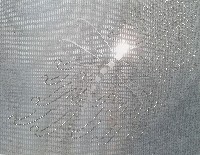 Regula Maria Müller, bewerkte foto [Firefly], 2017, foto van weefsel van zeewier en Japans papier 0,2 mm., gelaserd; Daarna met metalen en glaskralen opgewerkt; 20 x 26 cm.
PHŒBUS•Rotterdam