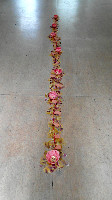 Regula Maria Müller, installatie met 7 ‘Tulpenschalen’, ‘Tulpensnoer’ en een slinger van gedroogde tulpenblaadjes; 2020, hxbxd 5 x 25 x 350 cm.
PHŒBUS•Rotterdam