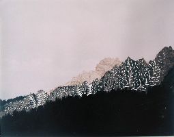 Regula Maria Müller, z.t. [berglandschap, rotsachtig, met perforaties in koraalvormen]

foto 2004, 0.50 x 0.65 m.
PHŒBUS•Rotterdam