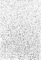 Jadranka Njegovan, Echo, potlood en fineliner op papier,

61 x 46 cm.; in lijst 70,5 x 55,3 cm.
PHŒBUS•Rotterdam