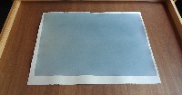 Andreas von Ow, 2016: No. 6, Ligustersaft mit Z.-Säure/Büttenpapier (egaal), ca. 57 x 76 cm.
PHŒBUS•Rotterdam