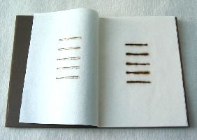 expositie PERFORS 2005, Alicja Werbachowska, kunstenaarsboek/unicum, met ingebrande lijnen, tweede bladzijde
PHŒBUS•Rotterdam