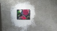 Marc Raven, olieverf e.a. op paneel op wand, 2019, 40 x 50 cm.
PHŒBUS•Rotterdam