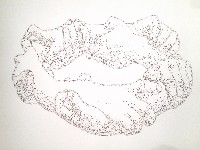 Amparo Sard, geperforeerd papierreliëf 2013 [Crown of Hands], 0.70 x 1 m.

(ingelijst in 90% uv-werend artglas, esdoorningewit).
PHŒBUS•Rotterdam