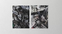 Eva-Maria Schön, KNICK, GEBROCHENE SYMMETRIE, twee van de fotowerken waarop afbeeldingen te zien zijn van Haeckel-foto's die 'zerknittert'/verfomfaaid zijn en daarna opnieuw gefotografeerd.
PHŒBUS•Rotterdam