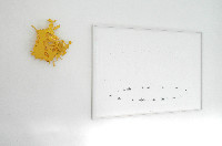Bram Zwartjens, Botanische compositie, 2013, potlood, acryl/papier, 30 x 40 cm. detail
PHŒBUS•Rotterdam