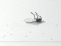 Bram Zwartjens, detail van een tekening in potlood op papier, 2011,

kleine versie, formaat 20 x 30 cm. [vliegen].
PHŒBUS•Rotterdam