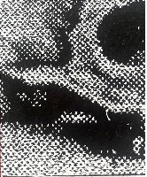 Donato Amstutz, ''temps mort'' 2023/25, borduursel op linnen, hxbxd 28,5 x 35 x 4 cm., detail
PHŒBUS•Rotterdam