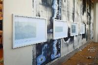 Charl van Ark, 'Deutsche Herbst', 2015, gemengde techniek vier delen,

elk 73.5 x 54.5 cm. - zoals getoond op de ART Rotterdam 2015
PHŒBUS•Rotterdam