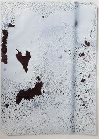 Dominique De Beir, 'White Spirit Carbon', 2008, 30 x 20 cm.
PHŒBUS•Rotterdam