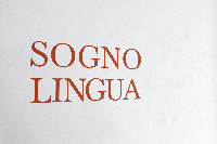 Simon Benson, wandschildering ‘SOGNO LINGUA’, projectruimte 2019
PHŒBUS•Rotterdam