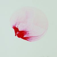 Joost Benthem, 'dead bubble' no. 21, 2010, kauwgom op papier, 25 x 25 cm.
PHŒBUS•Rotterdam