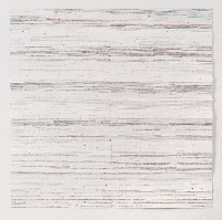 Célio Braga, Untitled (002), 2018. Embossing, pencil and color pencil on fragments of paper mounted on paper. 1.04 x 1.02 m.
PHŒBUS•Rotterdam