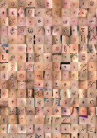 Sander van Bussel, “EQUAL RIGHTS”, 2018, opl; 11-letterig. Dit zijn enkele letters, gefotografeerd, geprint uit de Human Rights Declaration.
PHŒBUS•Rotterdam