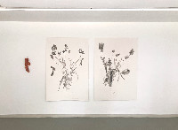 Regula Maria Müller, 'Tulpencollier 1', 2020, lengte 66 cm, keramiek, belletjes, Venetiaanse kralen. Mark Cloet, twee werken ''Il Paradiso, The Right To Dance'', 2021, mixed media: inkt, aquarelpotlood en grafiet/Arches Rives papier, 1.53 x 1.03 m. [bloei / vanitas]
PHŒBUS•Rotterdam