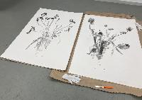 Mark Cloet, 'Tulpomanie I' en 'Tulpomanie II' (op de foto resp. rechts en links), 2021, aquarel, potlood en grafiet,

op Arches papier van 1.53 x 1.03 m.
PHŒBUS•Rotterdam