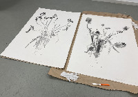 Mark Cloet, 'Tulpomanie I' en 'Tulpomanie II' (op de foto resp. rechts en links), 2021, aquarel, potlood en grafiet,
op Arches papier van 1.53 x 1.03 m.
PHŒBUS•Rotterdam