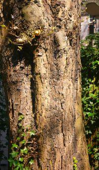 In de kastanjebomen aan het eind van de tuin heeft Piet Dirkx een gouden knop gehangen.
PHŒBUS•Rotterdam