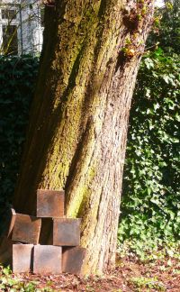 In de kastanjebomen aan het eind van de tuin heeft Piet Dirkx een gouden knop gehangen.
PHŒBUS•Rotterdam