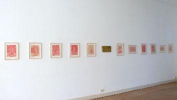 Bea Emsbach, detail expositie ''Tarnhaut'', 2009,

rode inkttekeningen en werken in buxusblad
PHŒBUS•Rotterdam