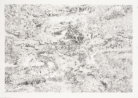 Anne Marie Finné, ''Vue Générale.G.XII (les 2 chiens)'', 2021,

tekening potlood op papier 50 x 70 cm. (ingelijst 51,6 x 72 cm.)
PHŒBUS•Rotterdam