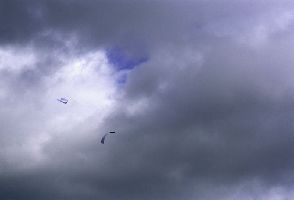 Frederic Geurts, foto [blauwe lucht /papiersnipper], 2005, 0.97 x 1.35 m.
PHŒBUS•Rotterdam