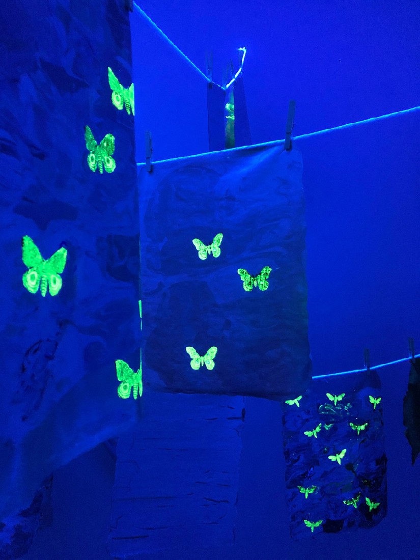 Hanna von Goeler, 'Reverse Alchemy', 2019, in blacklight,
materiaal: olieverf, gedroogde vlinders
PHŒBUS•Rotterdam Hanna von Goeler, 'Reverse Alchemy', 2019, in blacklight,
materiaal: olieverf, gedroogde vlinders
PHŒBUS•Rotterdam