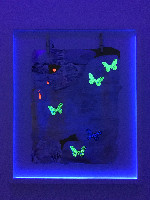 Hanna von Goeler, 'Reverse Alchemy', 2019, in blacklight,

materiaal: olieverf, gedroogde vlinders
PHŒBUS•Rotterdam