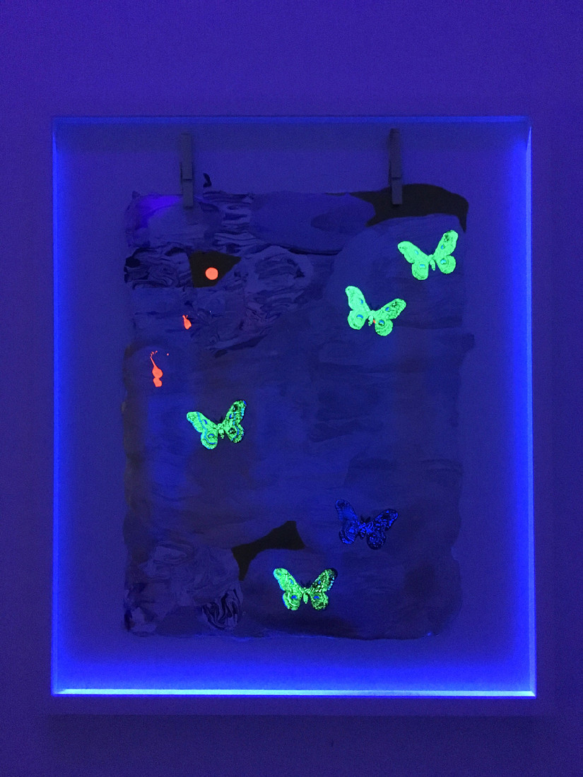 Hanna von Goeler, 'Reverse Alchemy', 2019, in blacklight,
materiaal: olieverf, gedroogde vlinders
PHŒBUS•Rotterdam Hanna von Goeler, 'Reverse Alchemy', 2019, in blacklight,
materiaal: olieverf, gedroogde vlinders
PHŒBUS•Rotterdam